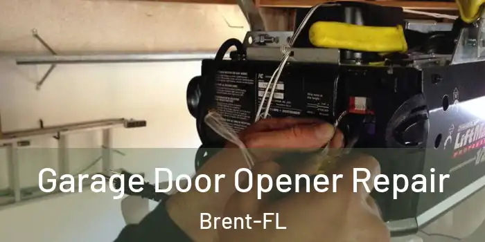 Garage Door Opener Repair Brent-FL