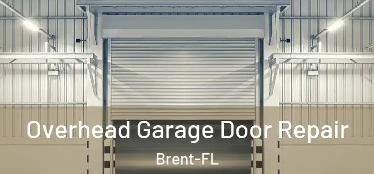 Overhead Garage Door Repair Brent-FL