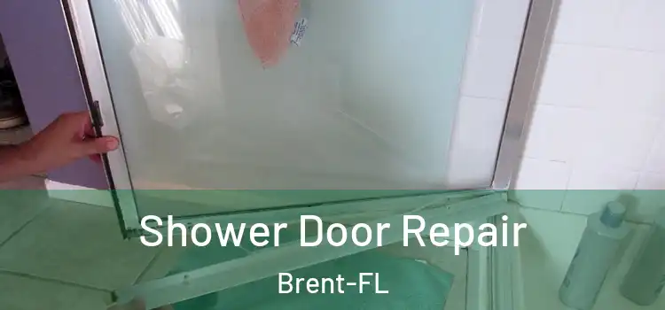 Shower Door Repair Brent-FL